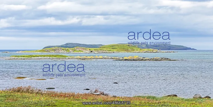 : Canada, Newfoundland and Labrador. L Anse aux Meadows : Canada, Newfoundland and Labrador. L Anse aux Meadows