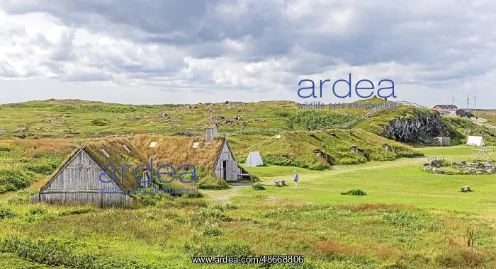: Canada, Newfoundland and Labrador. L Anse aux Meadows : Canada, Newfoundland and Labrador. L Anse aux Meadows