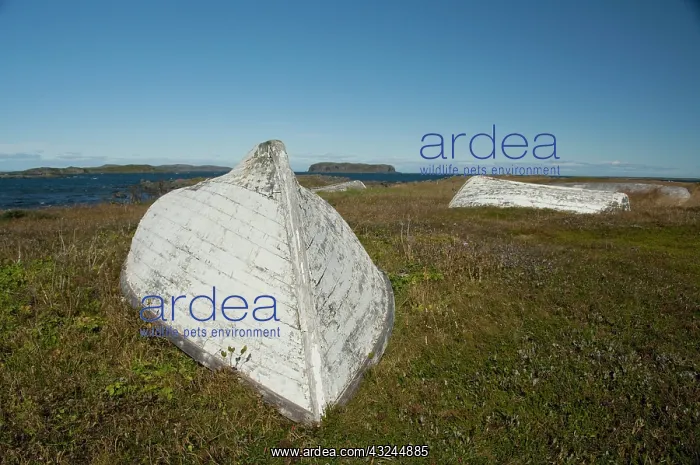 : Canada, Newfoundland and Labrador, L'Anse : Canada, Newfoundland and Labrador, L'Anse