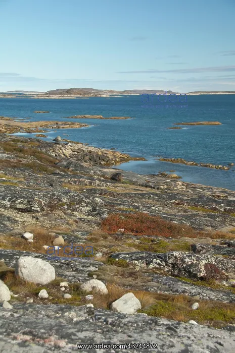 : Canada, Newfoundland & Labrador, Northern : Canada, Newfoundland & Labrador, Northern