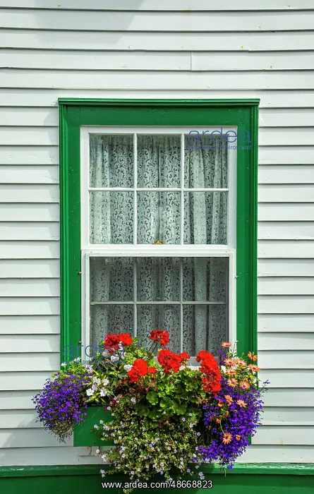 : Canada, Newfoundland and Labrador. Window in Brigus : Canada, Newfoundland and Labrador. Window in Brigus