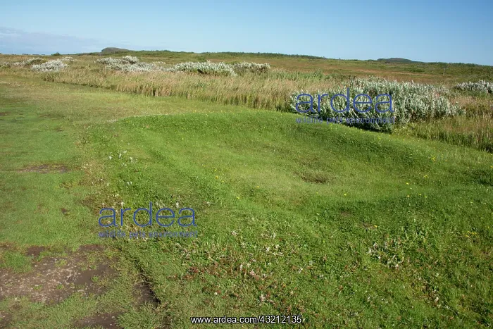 : Canada, Newfoundland, L'Anse aux Meadows : Canada, Newfoundland, L'Anse aux Meadows