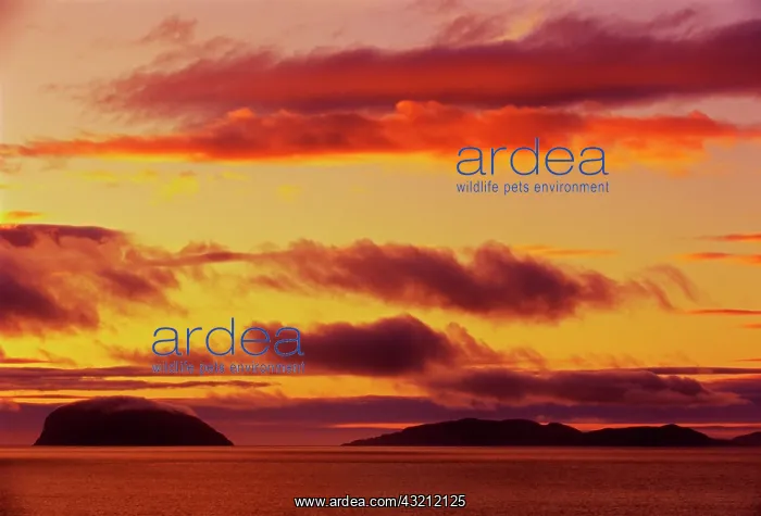 : Canada, Newfoundland, York Harbor. Fiery : Canada, Newfoundland, York Harbor. Fiery