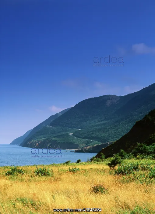  : Canada, Nova Scotia, Cape Breton Island