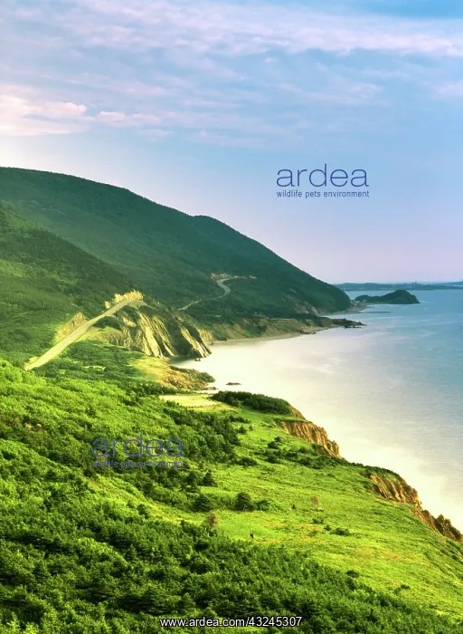 : Canada, Nova Scotia, Cape Breton Island : Canada, Nova Scotia, Cape Breton Island