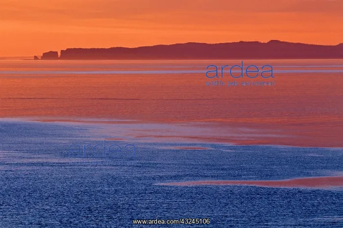 : Canada, Nova Scotia, Cape d'Or. Bay of Fundy : Canada, Nova Scotia, Cape d'Or. Bay of Fundy