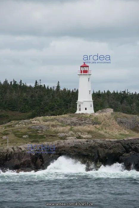 : Canada, Nova Scotia, Louisbourg. Lighthouse : Canada, Nova Scotia, Louisbourg. Lighthouse