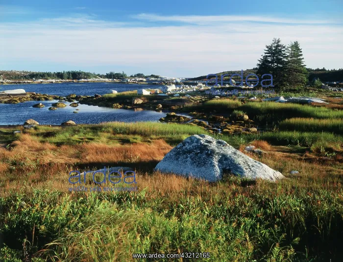 : Canada, Nova Scotia, View of sea with coastline : Canada, Nova Scotia, View of sea with coastline