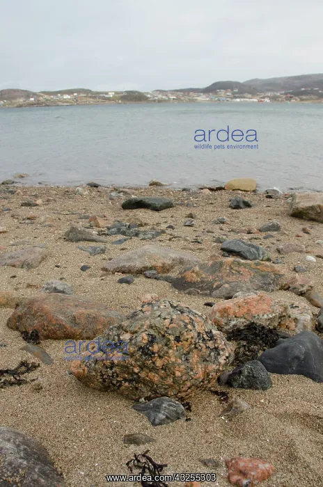 : Canada, Nunavut, Cape Dorset. Mallikjuag : Canada, Nunavut, Cape Dorset. Mallikjuag