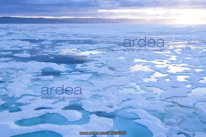 : Canada, Nunavut, Gulf of Boothia, Melting : Canada, Nunavut, Gulf of Boothia, Melting