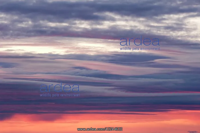 : Canada, Nunavut, Hudson Strait. Cloud formation : Canada, Nunavut, Hudson Strait. Cloud formation