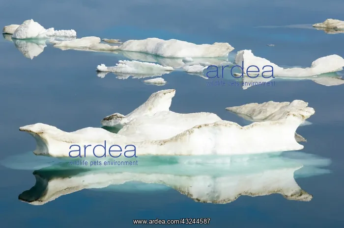 : Canada, Nunavut. Ice floes cruising Foxe : Canada, Nunavut. Ice floes cruising Foxe