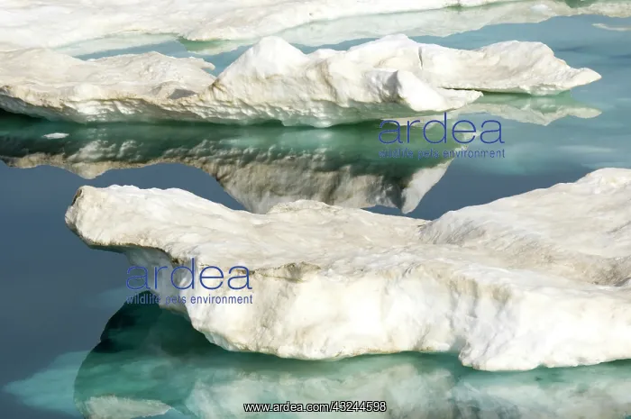: Canada, Nunavut. Ice floes cruising Foxe : Canada, Nunavut. Ice floes cruising Foxe