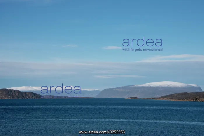 : Canada, Nunavut, Qikiqtaaluk Region, Kekerten : Canada, Nunavut, Qikiqtaaluk Region, Kekerten