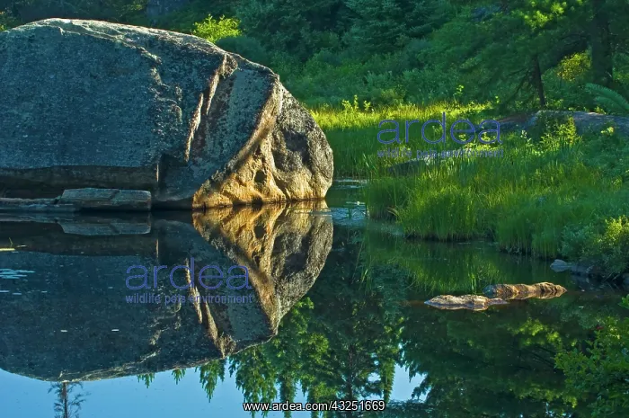 : Canada, Ontario, Algonquin Provincial Park : Canada, Ontario, Algonquin Provincial Park