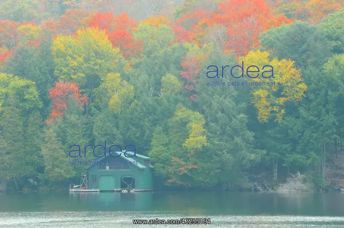 : Canada, Ontario. Boathouse in autumn fog : Canada, Ontario. Boathouse in autumn fog