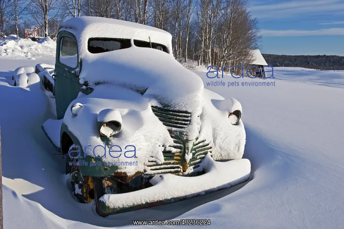 : Canada, Ontario, Bracebridge. Abandoned : Canada, Ontario, Bracebridge. Abandoned