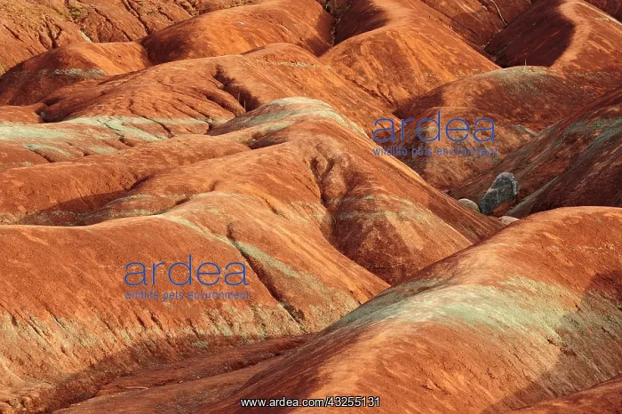 : Canada, Ontario, Cheltenham. Clay formation : Canada, Ontario, Cheltenham. Clay formation
