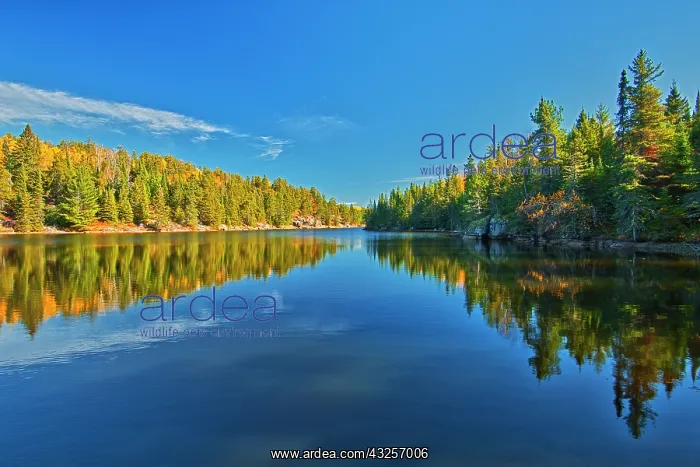 : Canada, Ontario. Forest reflections on Blindfold : Canada, Ontario. Forest reflections on Blindfold