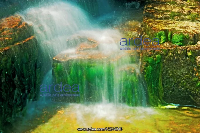 : Canada, Ontario, Georgian Bay. Cascading : Canada, Ontario, Georgian Bay. Cascading