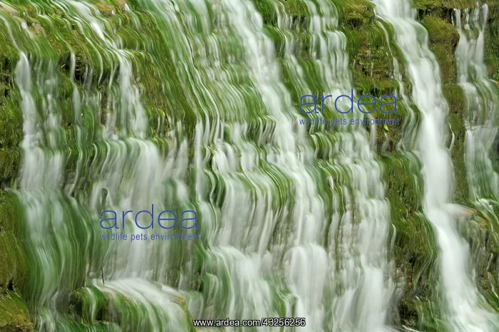 : Canada, Ontario, Grimsby. Beamer Falls water : Canada, Ontario, Grimsby. Beamer Falls water