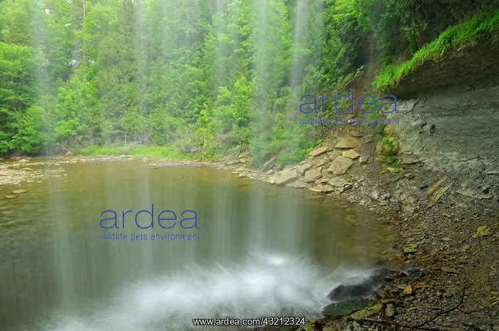 : Canada, Ontario. Kagawong River at Bridal : Canada, Ontario. Kagawong River at Bridal