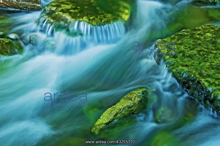  : Canada, Ontario. Kagawong River scenic