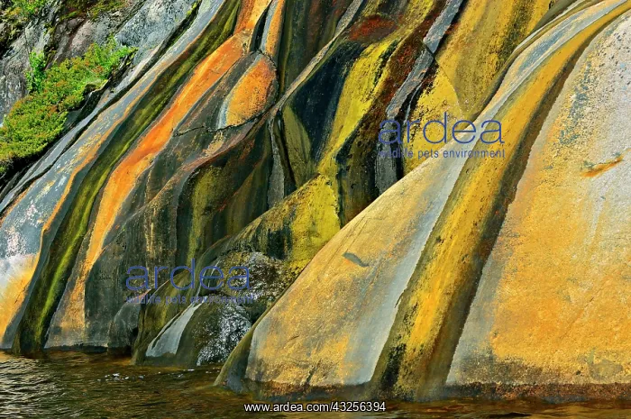 : Canada, Ontario, Key River. Rock face stained : Canada, Ontario, Key River. Rock face stained