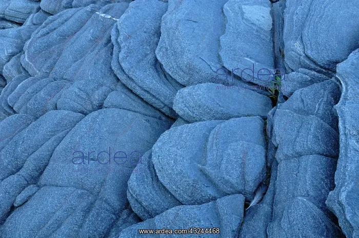 : Canada, Ontario, Killbear Provincial Park : Canada, Ontario, Killbear Provincial Park