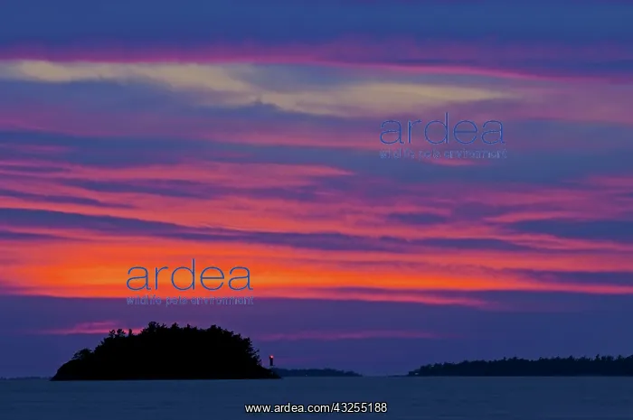 : Canada, Ontario, Killbear Provincial Park : Canada, Ontario, Killbear Provincial Park