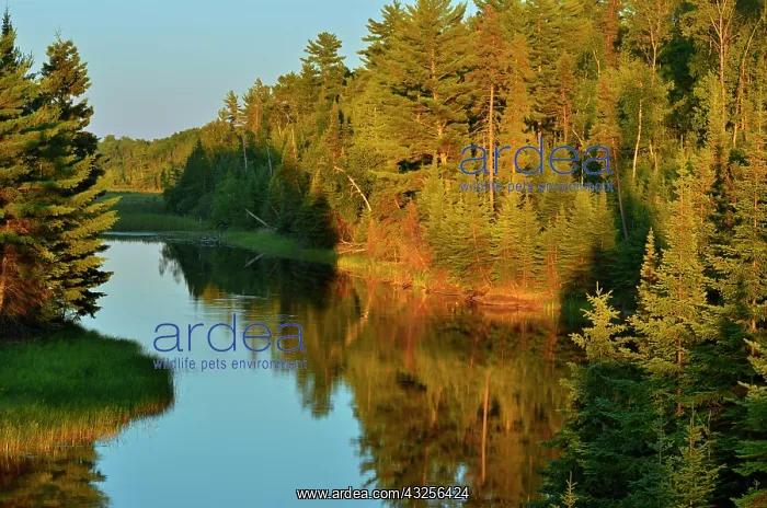 : Canada, Ontario, Lake of the Woods. Sun : Canada, Ontario, Lake of the Woods. Sun