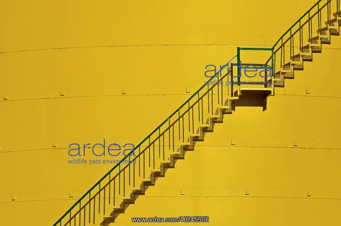 : Canada, Ontario, Little Current. Stairway : Canada, Ontario, Little Current. Stairway