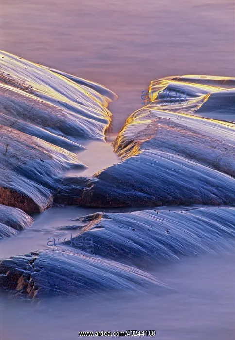 : Canada, Ontario, Neys Provincial Park. Rock : Canada, Ontario, Neys Provincial Park. Rock