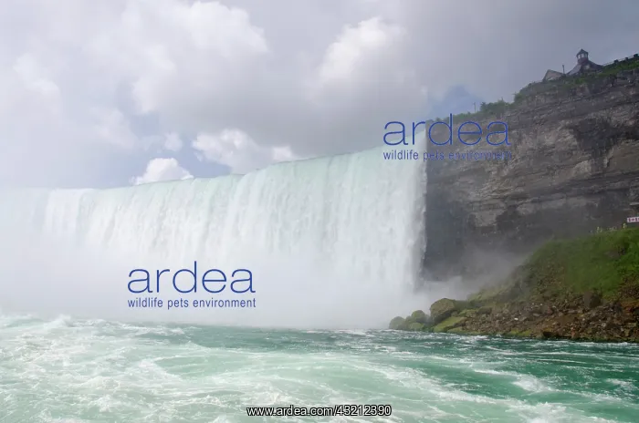 : Canada, Ontario, Niagara Falls. Canadian : Canada, Ontario, Niagara Falls. Canadian