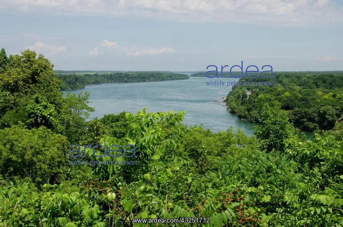 : Canada, Ontario, Niagara on the Lake. overview : Canada, Ontario, Niagara on the Lake. overview