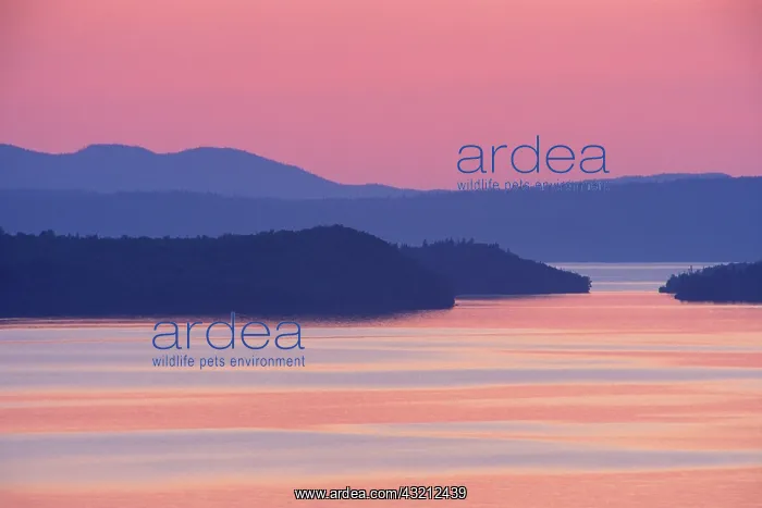 : Canada, Ontario, Nipigon Bay in summer twilight : Canada, Ontario, Nipigon Bay in summer twilight