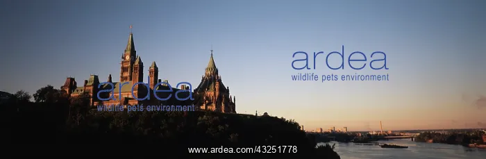 : Canada, Ontario, Ottawa, Canadian Parliament : Canada, Ontario, Ottawa, Canadian Parliament