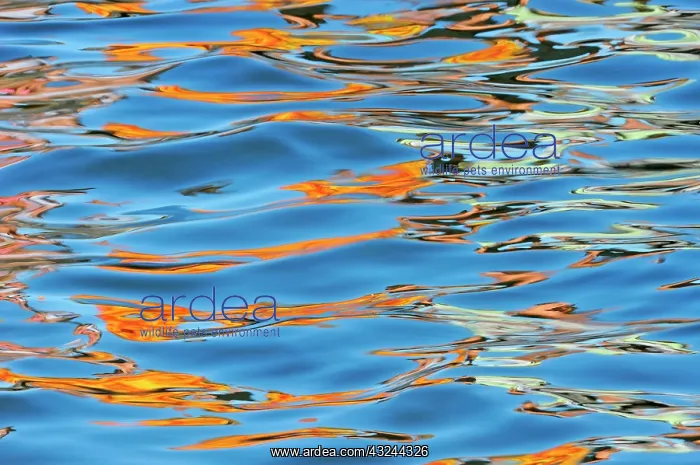 : Canada, Ontario, Port Carling. Detail of : Canada, Ontario, Port Carling. Detail of