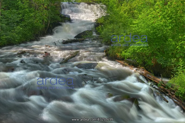 : Canada, Ontario, Raleigh Falls. Cascading