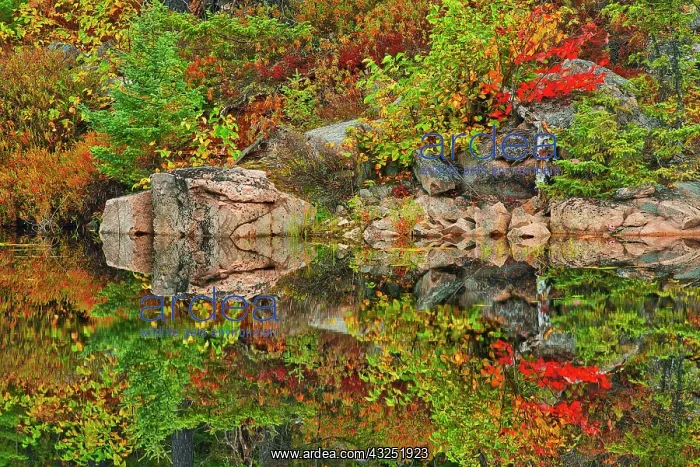 : Canada, Ontario. Reflections on the Vermilion River : Canada, Ontario. Reflections on the Vermilion River