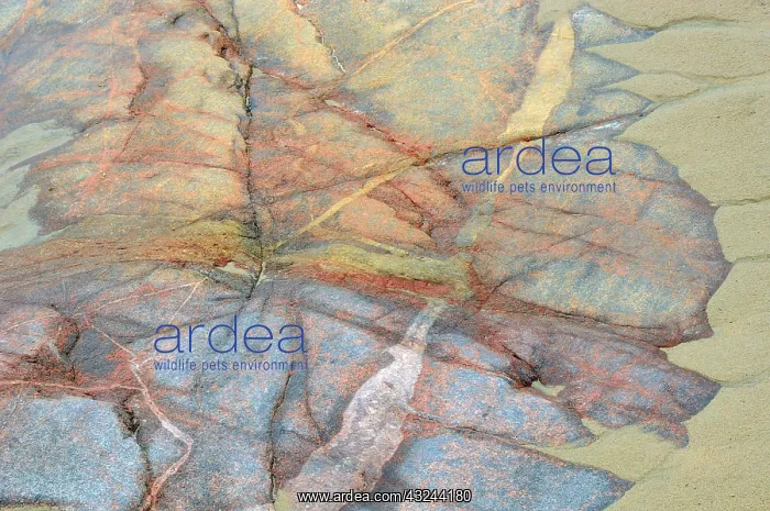 : Canada, Ontario. Sand and rock in Neys Provincial : Canada, Ontario. Sand and rock in Neys Provincial