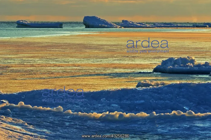 : Canada, Ontario, South Baymouth. Ice on : Canada, Ontario, South Baymouth. Ice on