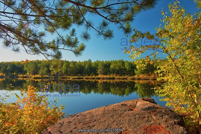: Canada, Ontario, Sudbury. Lake Laurentian Conservation : Canada, Ontario, Sudbury. Lake Laurentian Conservation