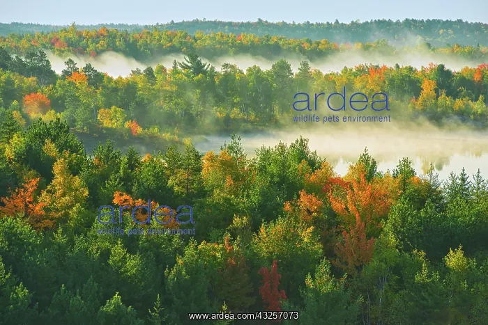 : Canada, Ontario, Sudbury. Lake Laurentian Conservation : Canada, Ontario, Sudbury. Lake Laurentian Conservation