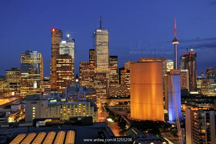 : Canada, Ontario, Toronto. Skyline at dusk : Canada, Ontario, Toronto. Skyline at dusk