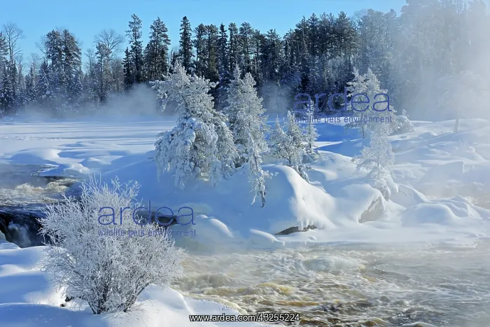 : Canada, Ontario, Vermillion Bay. Mist on : Canada, Ontario, Vermillion Bay. Mist on