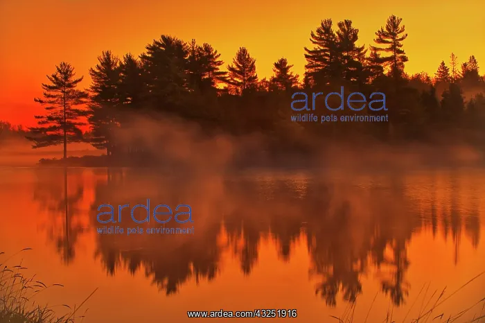 : Canada, Ontario. Wanapitei River at sunrise : Canada, Ontario. Wanapitei River at sunrise