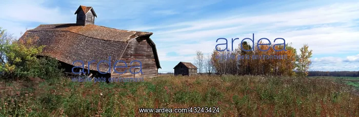 : Canada, Prairie Province, An abandoned bar : Canada, Prairie Province, An abandoned bar