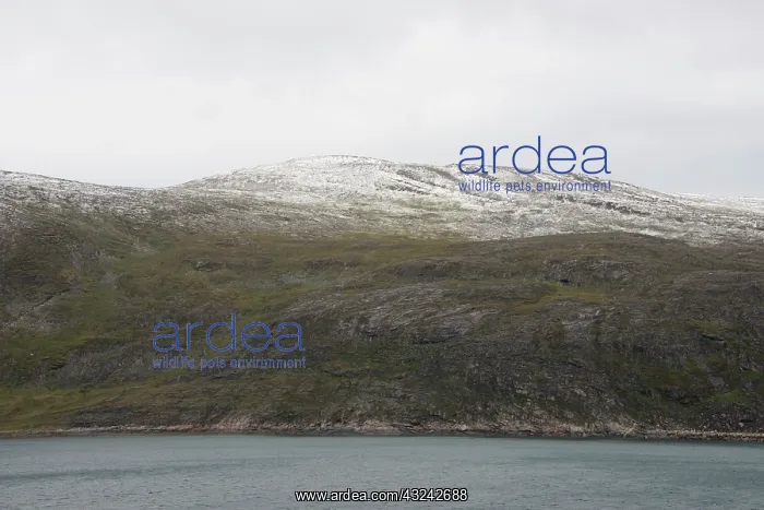 : Canada, Quebec, Douglas Harbor. Remote fjord : Canada, Quebec, Douglas Harbor. Remote fjord