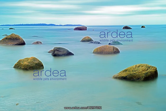 : Canada, Quebec, Gulf of St. Lawrence. Rocks along : Canada, Quebec, Gulf of St. Lawrence. Rocks along